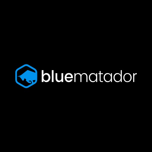 BlueMatador-Logo-Horizontal-reversed