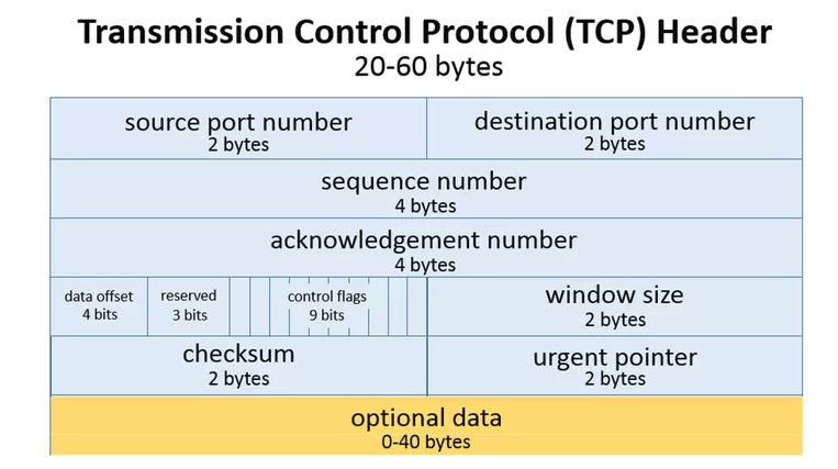 TCP Packet Headers
